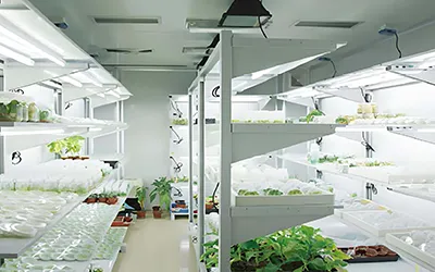 Laboratorium med konstant temperatur og kontrolplanlægning